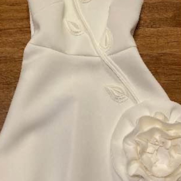 Serenity Rosette Dress - Picture 7 of 7